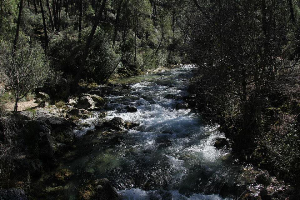 Mesoncillo Neo Βίλα Hornos Εξωτερικό φωτογραφία