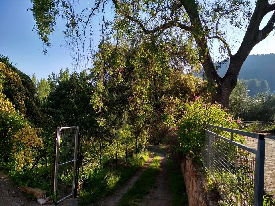 Mesoncillo Neo Βίλα Hornos Εξωτερικό φωτογραφία